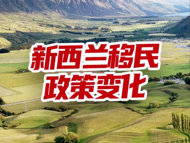 跨越大洋的移民经历:美国梦的真实写照